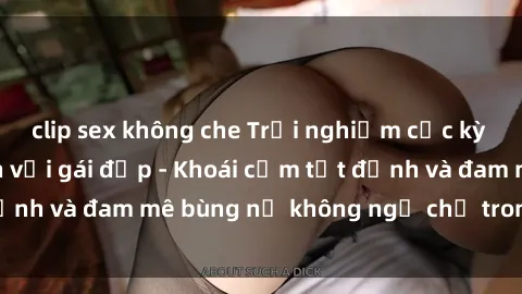 clip sex không che Trải nghiệm cực kỳ thú vị khi làm tình với gái đẹp - Khoái cảm tột đỉnh và đam mê bùng nổ không ngờ chỉ trong một đêm!